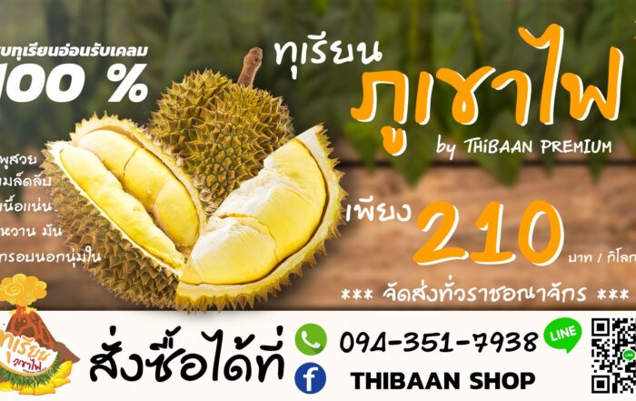 ทุเรียนภูเขาไฟ
