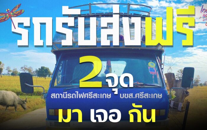 ปก