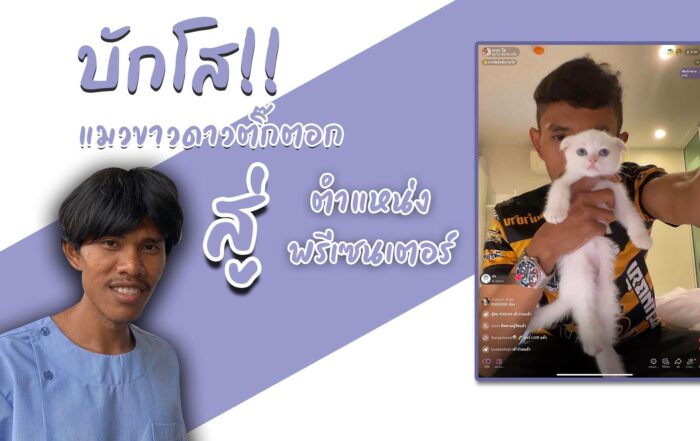 ปก