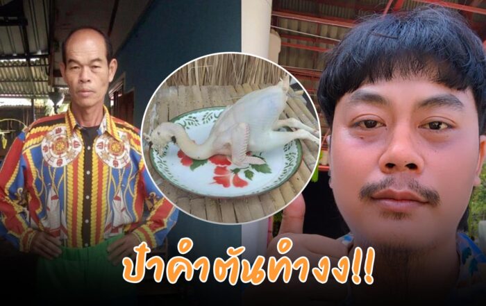 ป๋าคำตัน