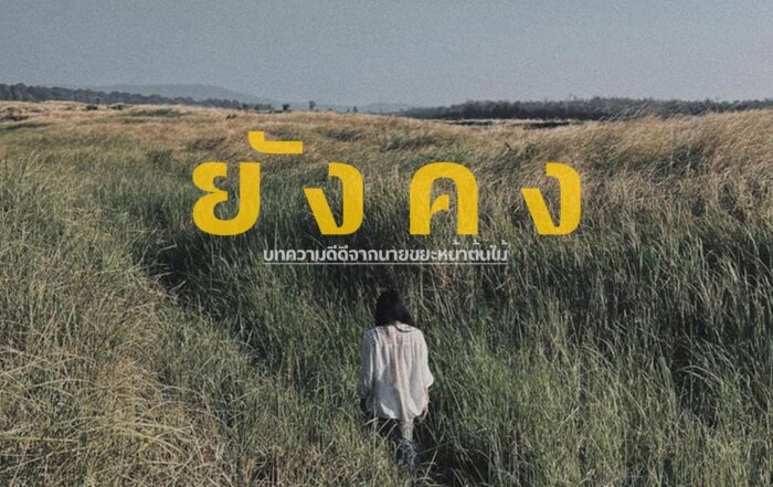 ขยะหน้าต้นไม้